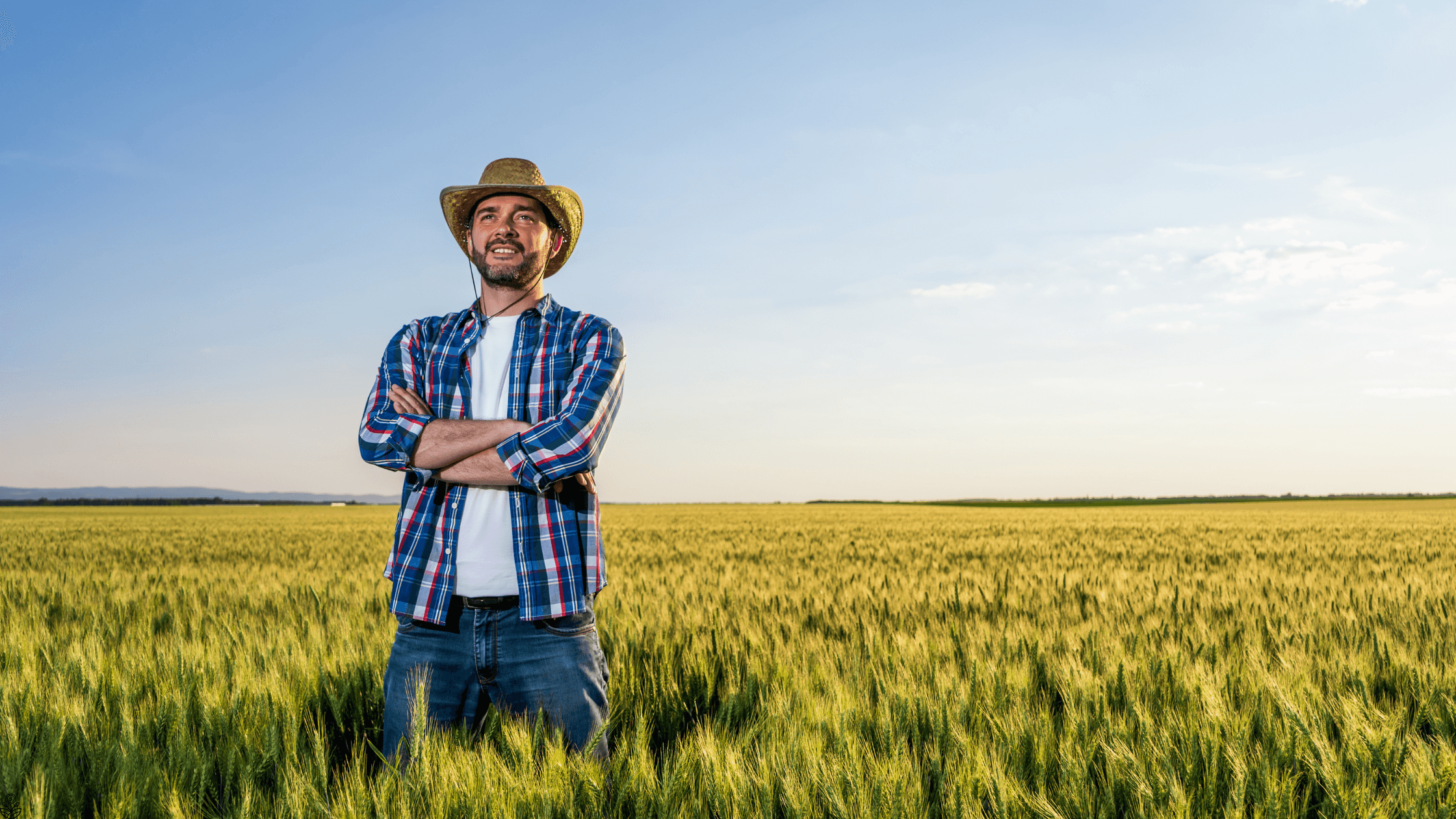 Taxação no Agronegócio e Fundos Imobiliários: Entenda o Veto de Lula e Seus Impactos no Mercado