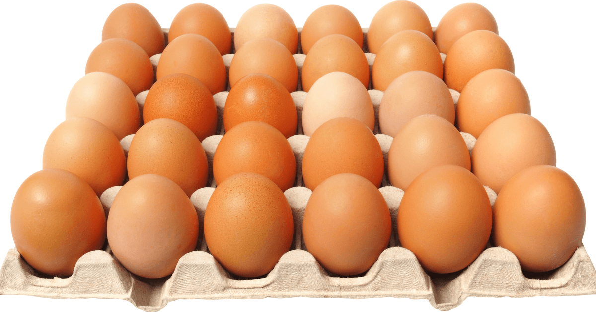 ovos